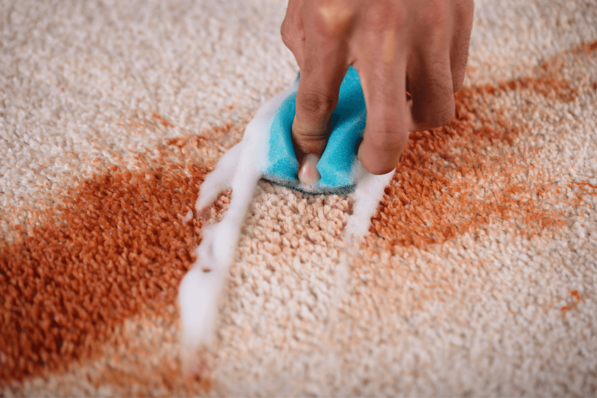 How to Clean the Blood off the Carpet? - Step by Step Guide - Dirt2Neat